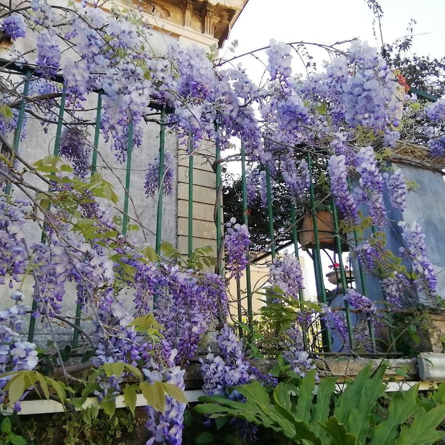 Villa Manasse Aci Castello Kültér fotó